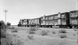 Argentina, train loaded with sheep at Benjamín Zorrilla