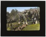 [Mrs. Francis Lemoine Loring house, 700 South San Rafael Avenue, San Rafael Heights, Pasadena, California. Bougainvillea pergola from flower garden to house]