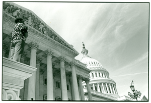 View of the Capitol