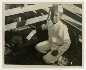 Young Boy and a Show Pig