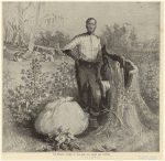 Thumbnail for The primary causes of the war--the Negro and cotton