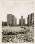 View of the Riverton Houses looking north from the Abraham Lincoln Playground, 1949