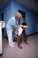 Injured man at a prison hospital