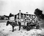 ride in a cart at the Lewis Plantation and Turpentine Still on US 41