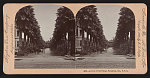 Avenue of the Palms, Pasadena, Cal., U.S.A.