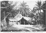 Thumbnail for An Ngumba house at Bolobo, belonging to Chief Ibaka [showing enemies skull on roof.]