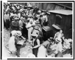 [Food distribution after Tulsa, Oklahoma, race massacre]