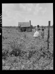 Wife and child of Negro laborer of the Brazos riverbottoms. Texas