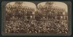 Magnificient flower adorned Pasadena greeting President Roosevelt--California