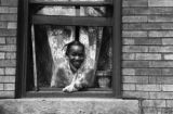 Jasper Wood Collection: Smiling girl in window