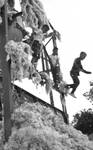 Two white boys standing on cotton building rigging, African American boy jumping off