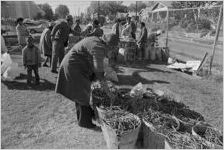 EOA Fresh Produce Distribution, circa 1974