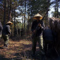 Soldiers on a military exercise at the U.S. Army training facility at Fort McClellan near Anniston, Alabama.