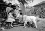 Children feeding a goat in a dirt yard, probably in Furman, Alabama.