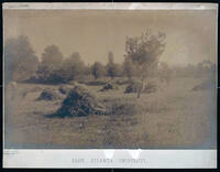 Atlanta University Farm, circa 1890