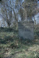 Gravestone for Willie J. Puegn at Westcott Cemetery in Montgomery, Alabama.