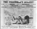 The Freedman's Bureau! An agency to keep the Negro in idleness at the expense of the white man. Twice vetoed by the President, and made a lawy by Congress.  Support Congress &amp; you support the Negro Sustain the President &amp; you protect the white man