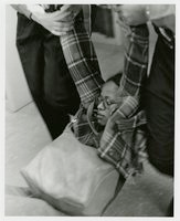 Black student solidarity protest in Wilbur Cross Library