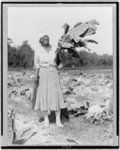 [Woman, full-length portrait, standing in field, facing front, holding tobacco leaf, in Washington, D.C. area(?)]