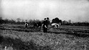 Plowing Contest, Farmers Conference, Hampton