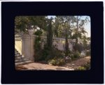 [Mrs. Eldridge Merick Fowler house, 363  Grove Street, Pasadena, California. Terrace wall steps]