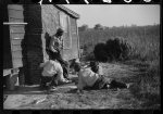 Negroes shooting craps behind a tenant house, disposing of their cotton money on Saturday afternoon, Marcella Plantation, Mileston, Mississippi Delta, Mississippi