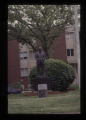 Fisk University: W.E.B. Dubois statue