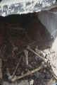 Bones inside an open grave at Lincoln Cemetery in Montgomery, Alabama.