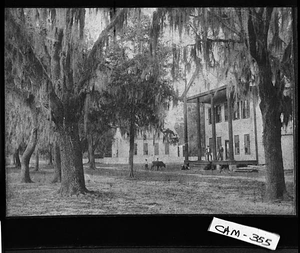 Photograph of Methodist Church and Courthouse on Osborne Street, Saint Marys, Camden County, Georgia, ca. 1900