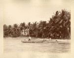 Launching Canoes. Runaway Bay