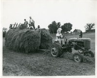 Boys on the farm