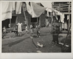 African-American children in housing courtyard.