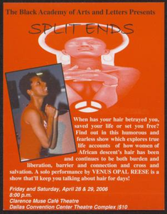 Flyer: Split Ends