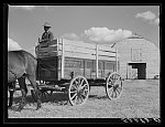 New wagon belonging the Cube Walker, FSA (Farm Security Administration) Negro tenant purchase client. Belzoni, Mississippi Delta, Mississippi