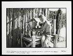 Man Milking Goat, Yogi Bhajan's Ashram