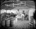 Charlottesville Canning Factory