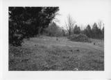 Alexandria Cemeteries Historic District: cemetery markers