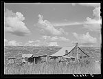 Negro tenant's home beside the Mississippi levee near Lake Providence, Louisiana