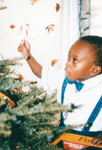 Boy decorates Christmas tree