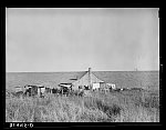 Negro sharecropper's farmstead against the levee. Near Lake Providence, Louisiana