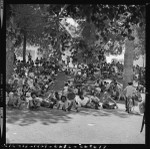 Crowds rest in shade at the Festival in Black, Los Angeles (Calif.)