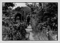 A Techwood Homes resident walking in an area with overgrown weeds, undated