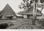 Houses in a Grebo village (interior of Maryland)