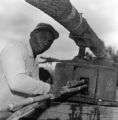 Man feeding sugar cane into a mill to make syrup in Boyd, Alabama.