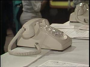 News Clip: UNCF telethon