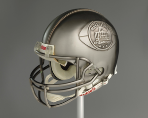 NFL Hall of Fame helmet for Tony Dungy