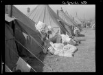 Tents in the flood refugee camp for Negroes from the bottom lands. Forrest City, Arkansas