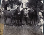 Henry Hammond's colts [and] John Shaw Billings, Redcliffe, S.C., Spring 1903.