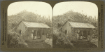 A Native Country School House among the Banana Trees, Jamaica