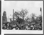 [Crowd of people gathered in street to watch the lynching of Jesse Washington, several men in tree appear to be securing chain or rope, Waco, Texas]